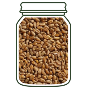 пшениця для куті